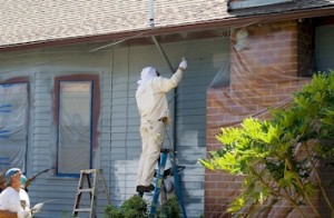 Residential Painters