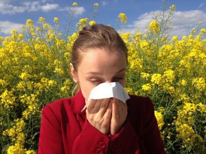 Pressure Washing The Pollen Off Of Your Home