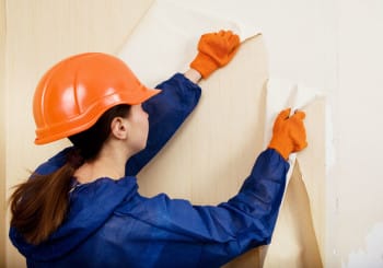 wallpaper removal